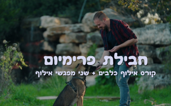 חבילת פרימיום